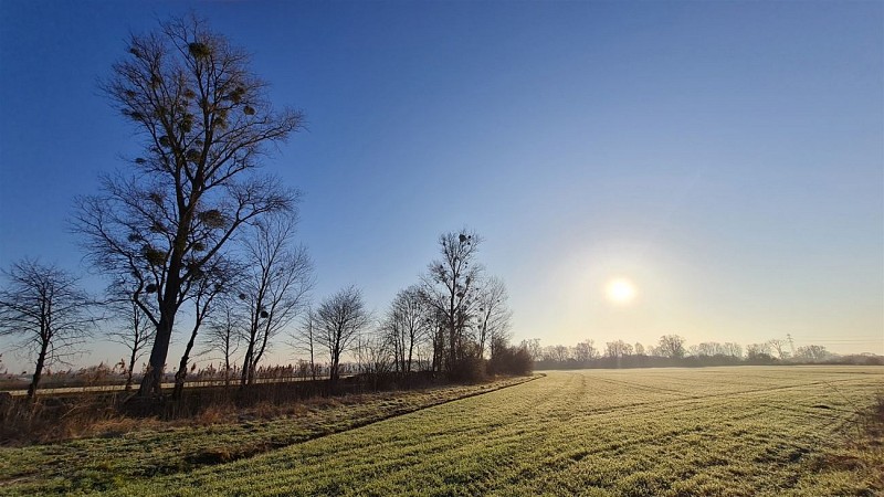 Le sentier du Ried