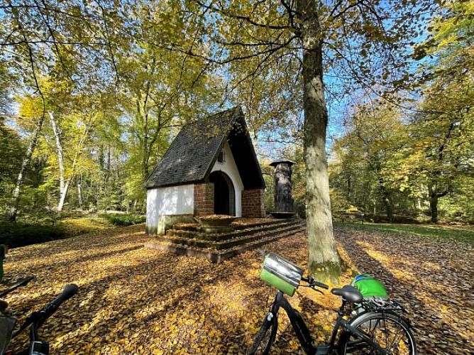 La Forêt d'Exception® de Haguenau - N°6 : Haguenau-Soufflenheim