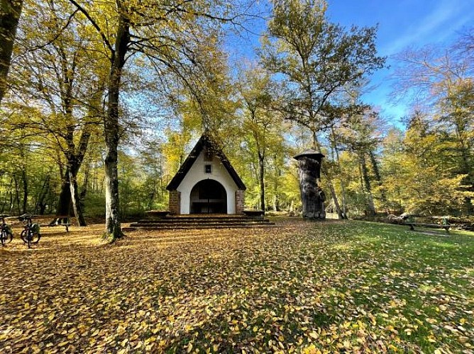 La Forêt d'Exception® de Haguenau - N°6 : Haguenau-Soufflenheim