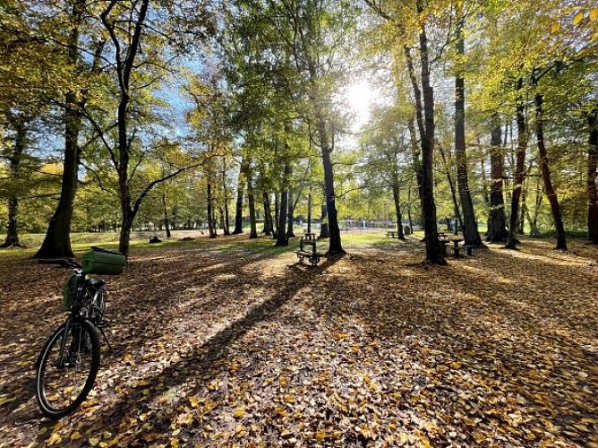 La Forêt d'Exception® de Haguenau - N°6 : Haguenau-Soufflenheim