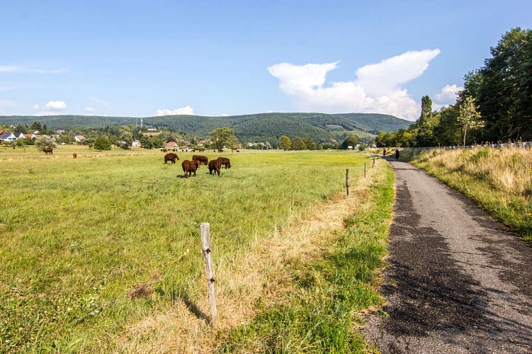 Guebwiller Valley cycle route