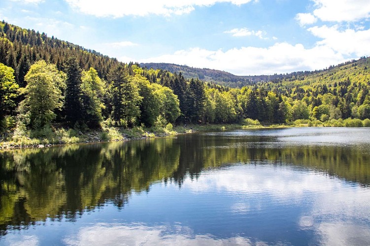 Véloroute de la vallée de Guebwiller