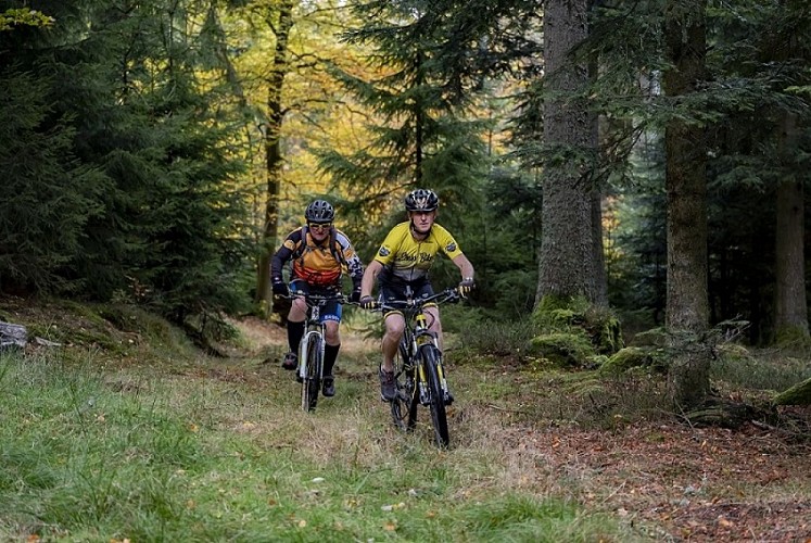 Circuit VTT 3 - Le Grand Tétras