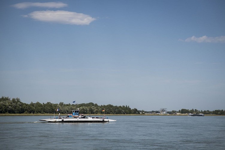 Alsace by bike - The banks of the Rhine and the Lauter Valley