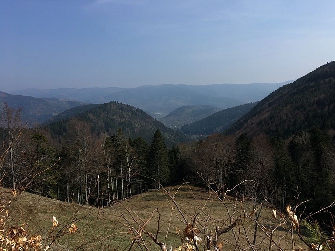 Circuit VTT n°23 : Le Gazon Vert