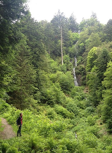 Circuit VTT n°23 : Le Gazon Vert