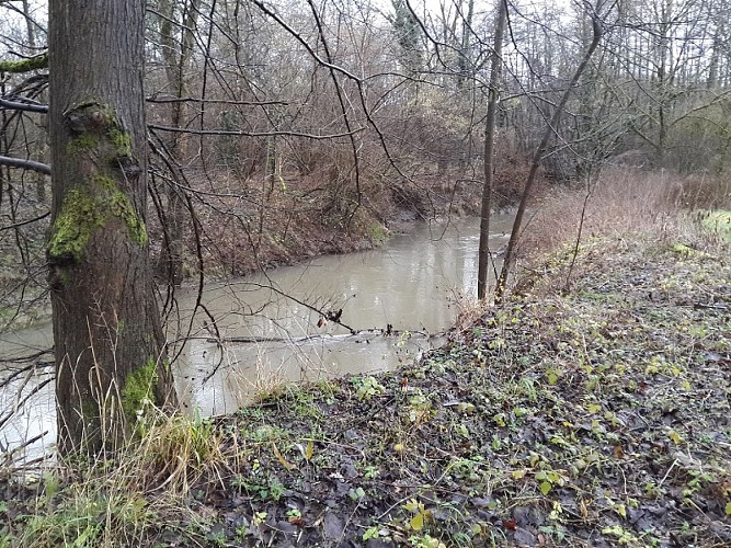 Sentier pédestre : Circuit de l'oratoire