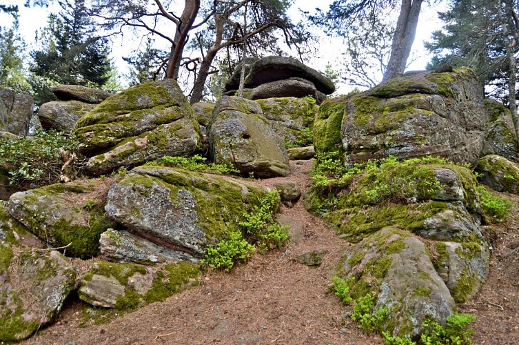 Hiking tour - tour of the small and large Hohnack