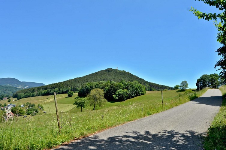 Circuit rando - entre Orbey et Lapoutroie par le Grand Faudé