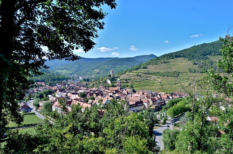 Circuit rando - Kaysersberg, Ammerschwihr, Katzenthal jusqu'au Galtz