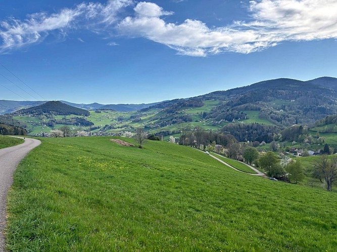 Hiking tour - from Lapoutroie to the Col de Chamont