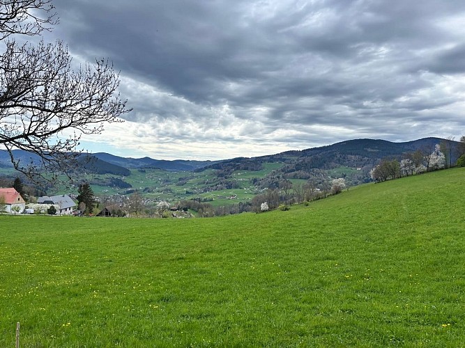Hiking tour - from Lapoutroie to the Col de Chamont