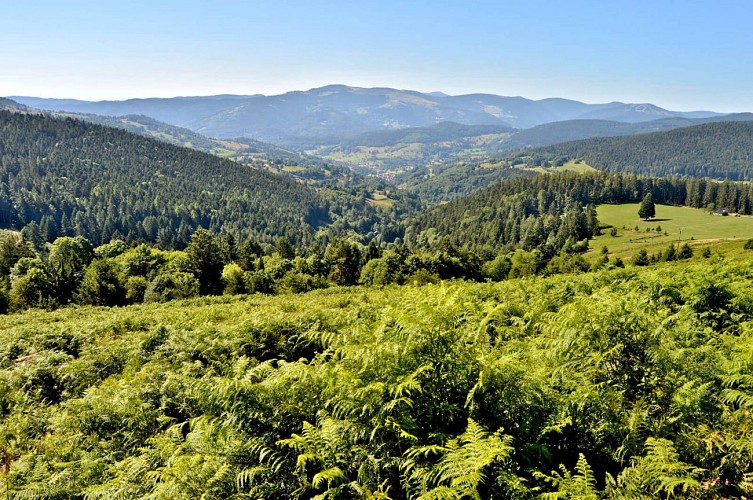 Hiking tour - the tour of the 4 lakes from Orbey