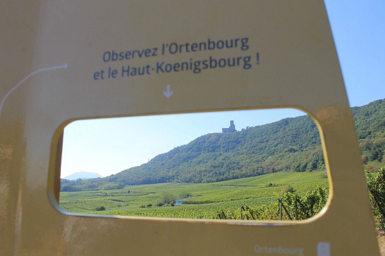 Sentier des Murailles et des Vignes - Scherwiller