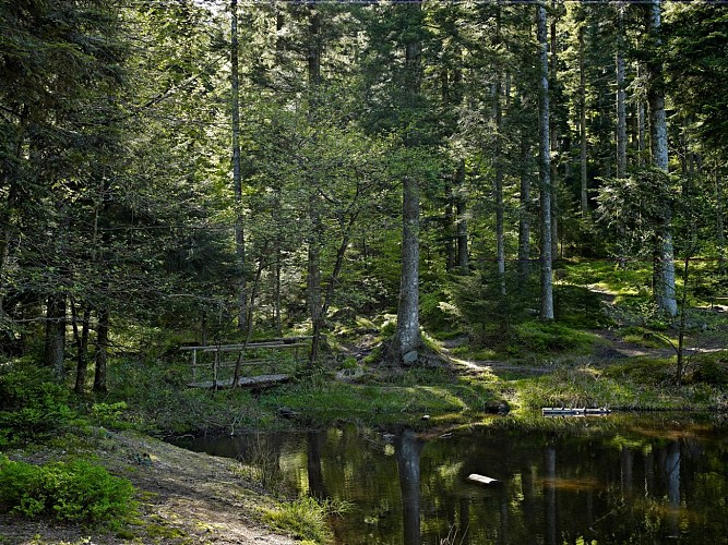 Circuit rando D07 : Le lac de la Maix