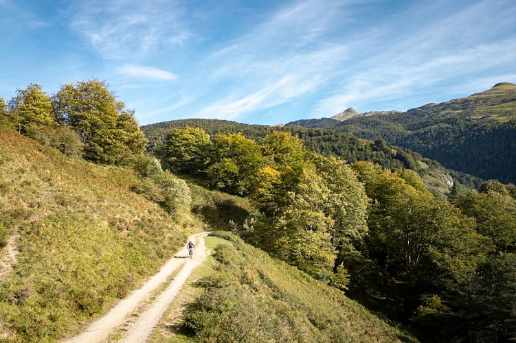 18 - VTT - PAYS BASQUE - Xiberoa - JONATHAN CATHALA-4-Tourin
