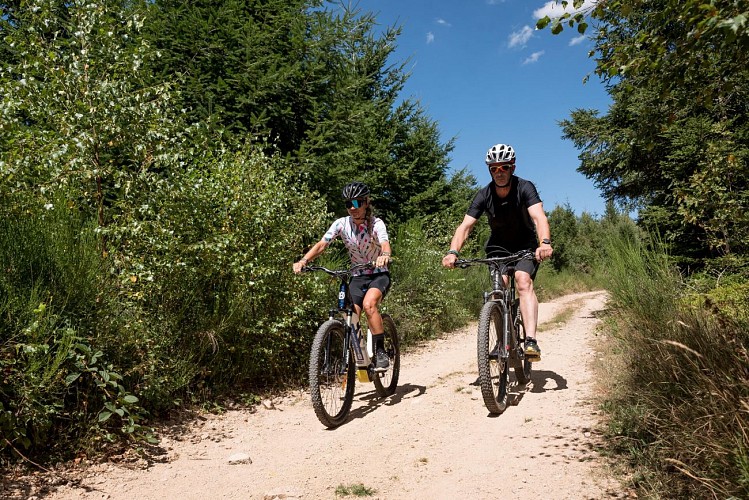 N°10 - Le Poirier_Vézelin-sur-Loire
