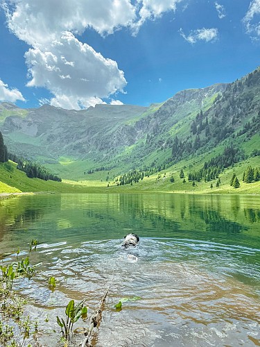 Lac de gers - doggie bathing