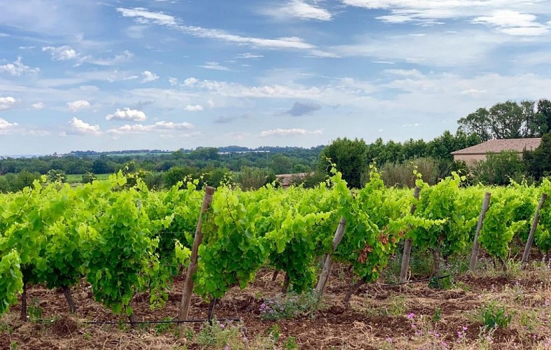 Circuit un pichon de cada camin à Vias