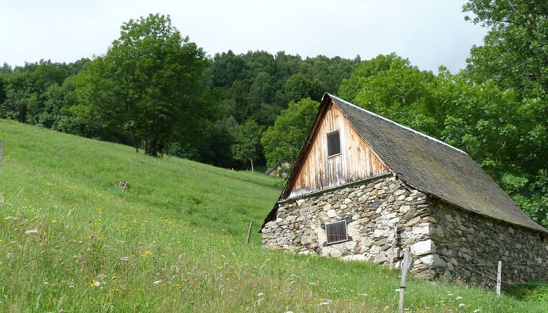 Itinéraire de FAST-HIKING DECOUVERTE