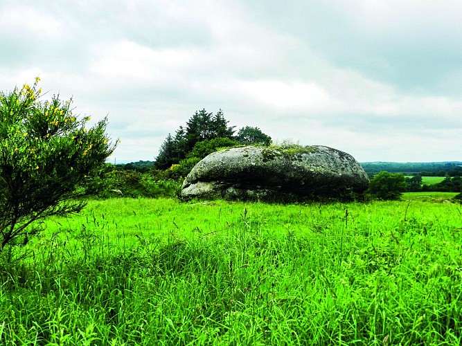 Le circuit des menhirs