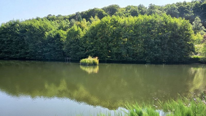 Le plan d'eau du Nayrac