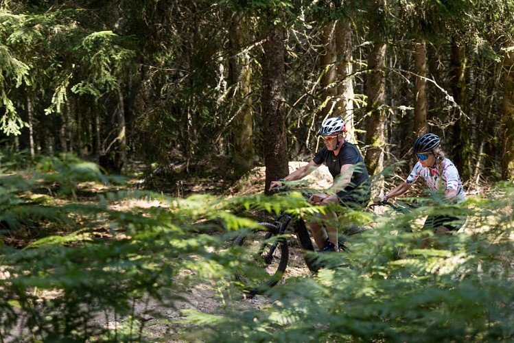 N°20 - Croix Barret_Grézolles