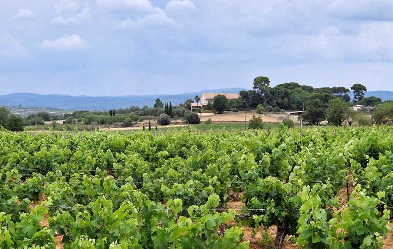 circuit_camins de Tourbes