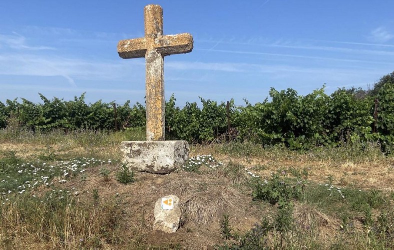 circuit_camins de Tourbes