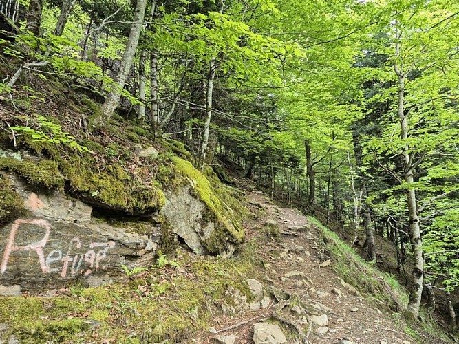 Début de la montée au lac Vert