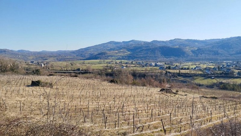Les parcelles viticoles sur les hauteurs de St-Côme-d'Olt