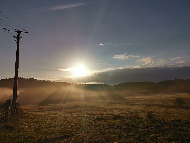 Boucle locale N°55 Au coeur de la campagne creusoise