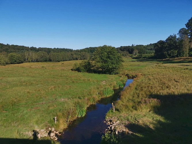 Boucle locale N°55 Au coeur de la campagne creusoise