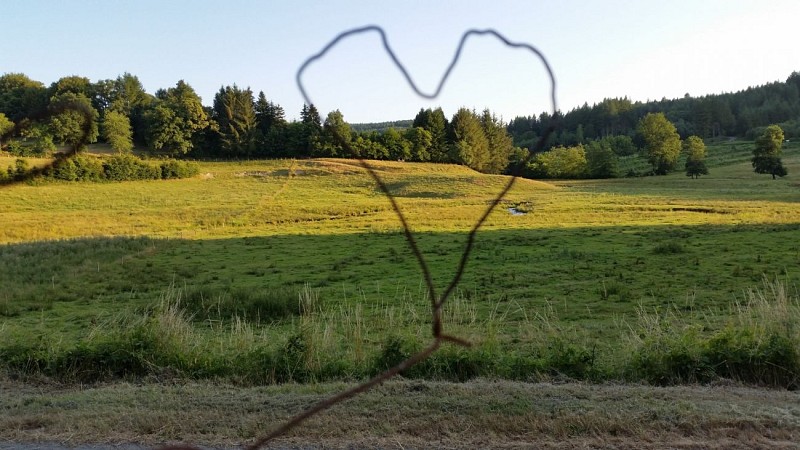 Boucle locale N°55 Au coeur de la campagne creusoise