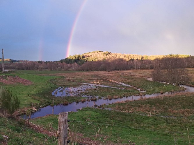 Boucle locale N°55 Au coeur de la campagne creusoise