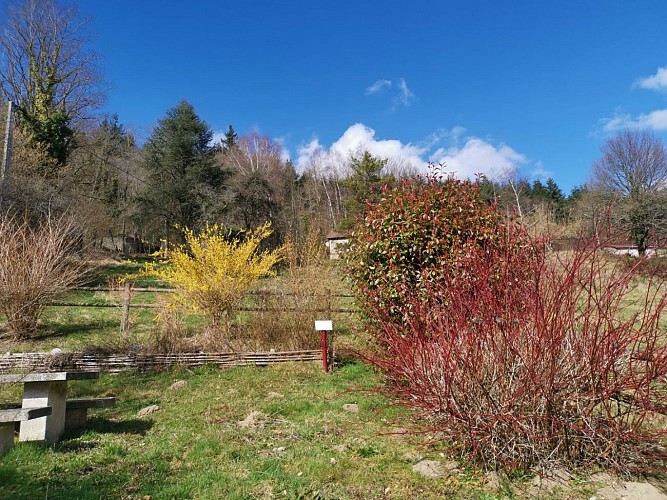 Boucle locale N°55 Au coeur de la campagne creusoise