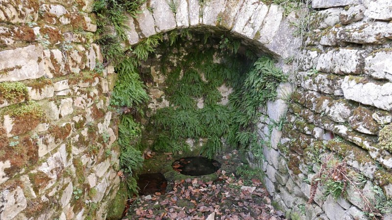 Boucle locale N°55 Au coeur de la campagne creusoise