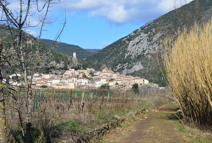 OTI Caroux_Roquebrun_arboussie_plaine du plo 3