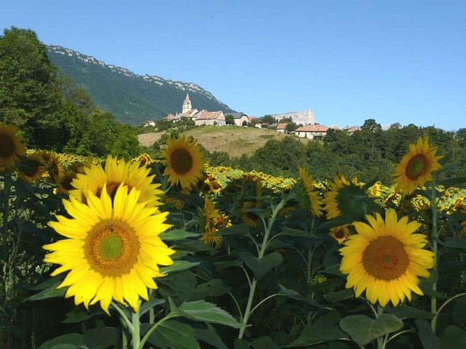 Ermitage d'Esparron_Percy