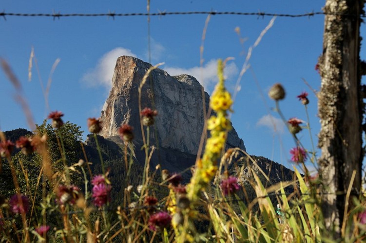 Le chemin du facteur_Saint-Michel-les-Portes