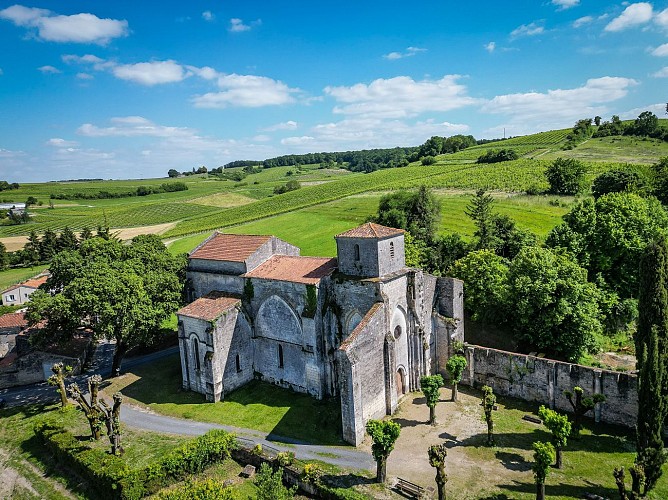 Circuit | Un château dans le vignoble | Bouteville_Bouteville