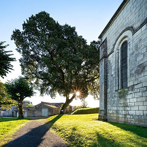 Circuit | Un château dans le vignoble | Bouteville_Bouteville