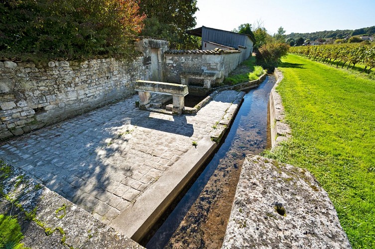 Circuit | Un château dans le vignoble | Bouteville_Bouteville
