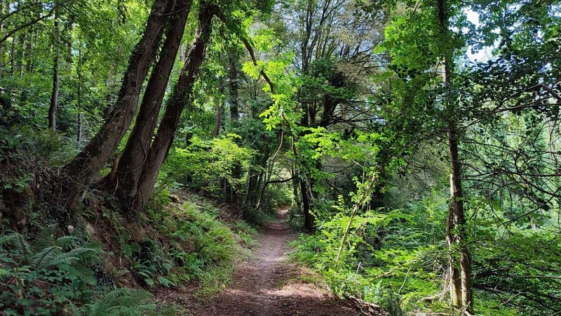 Chemin vallée du Roscoat - Tréduder