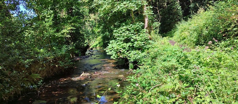 Le Yar entre Tréduder et Plestin les Grèves