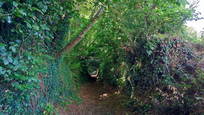 Chemin creux - Trédude