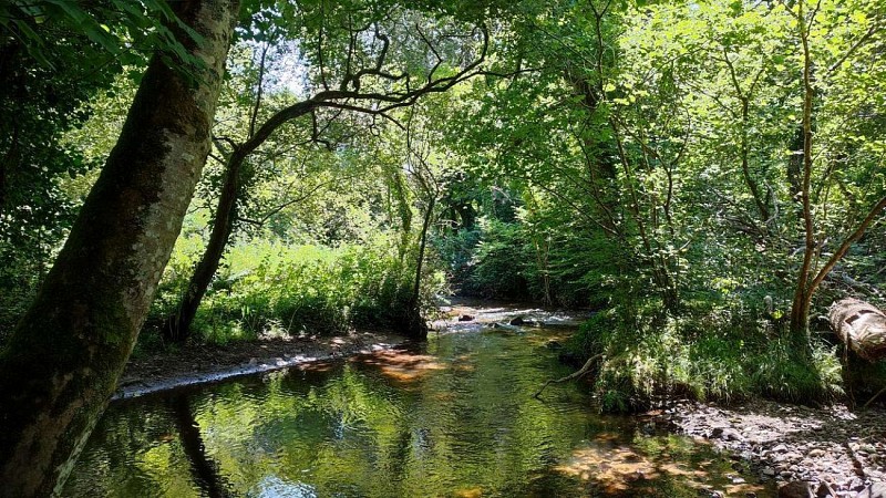 Chemin vallée du Yar - Trédude
