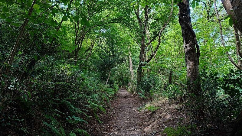 Chemin vallée du Roscoat - Trédude