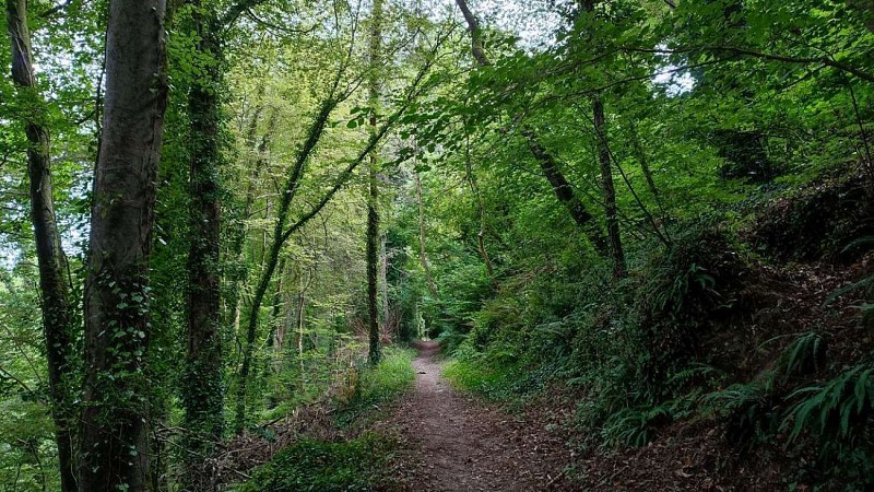 Chemin vallée du Roscoat - Trédude