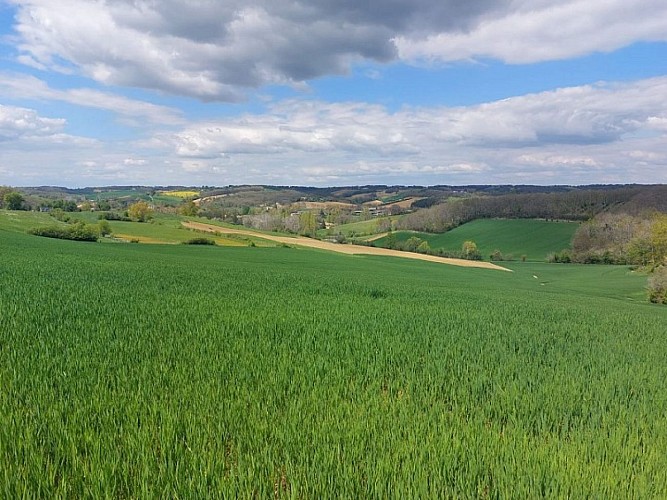 PR 3 Circuit du Tescounet